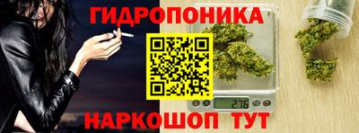 крисы Волжск