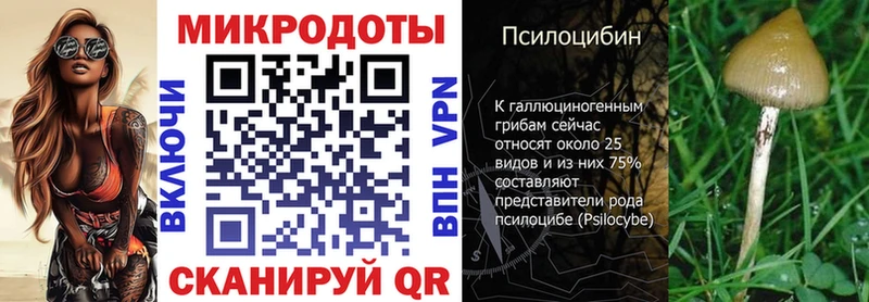 Галлюциногенные грибы Psilocybe  ссылка на мегу ССЫЛКА  Махачкала 