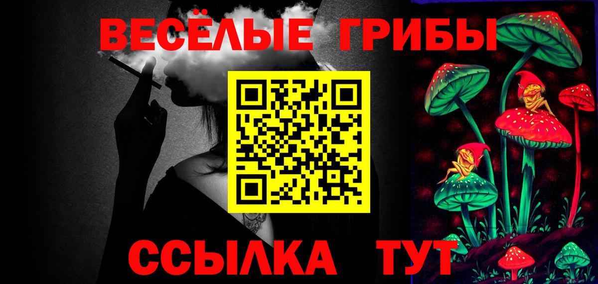 Махачкала  Галлюциногенные грибы Magic Shrooms  Вход с VPN 
