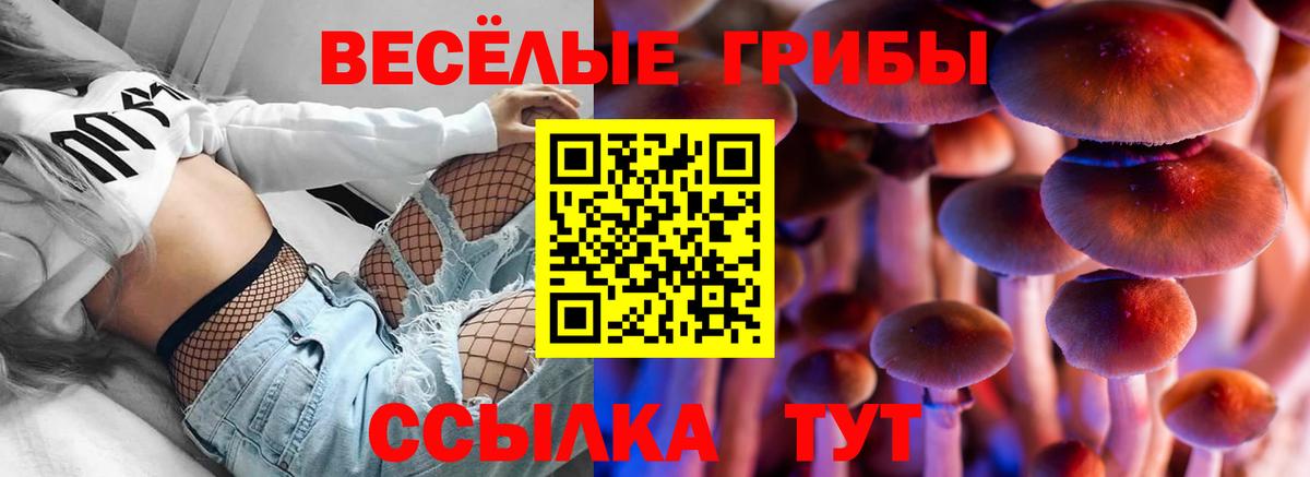 Махачкала  Вход с VPN  Конопля  Амфетамин кристаллы  Мефедрон кристаллы  ГАШ  ГАШ 